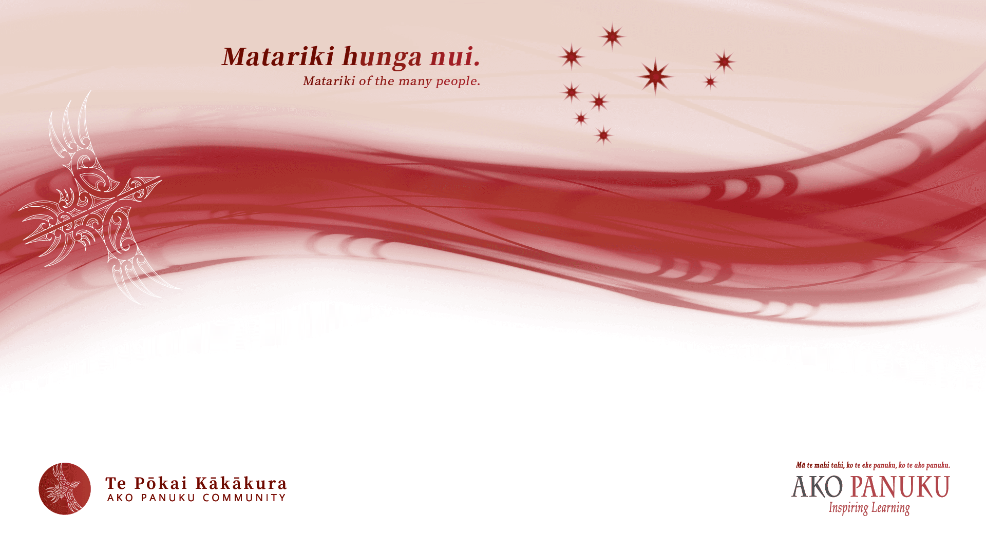 Matariki Virtual Background