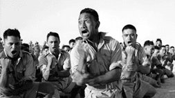 ANZAC Te Hokowhitu-a-Tū