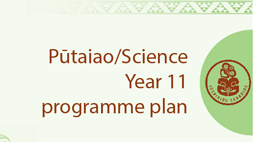 Pūtaiao Programme Plan Year 11