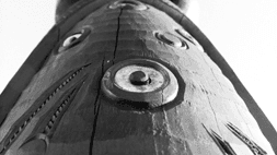 Te Tiriti o Waitangi Partnership | He Kōrerorero - English Medium