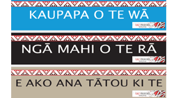 Whiteboard magnets series 2 - te reo Māori