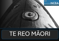 NCEA Te Reo Māori Level 2 - Exam Countdown