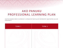 Professional Learning Plan