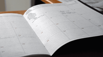 First Time Tumuaki Series - School Staffing 1